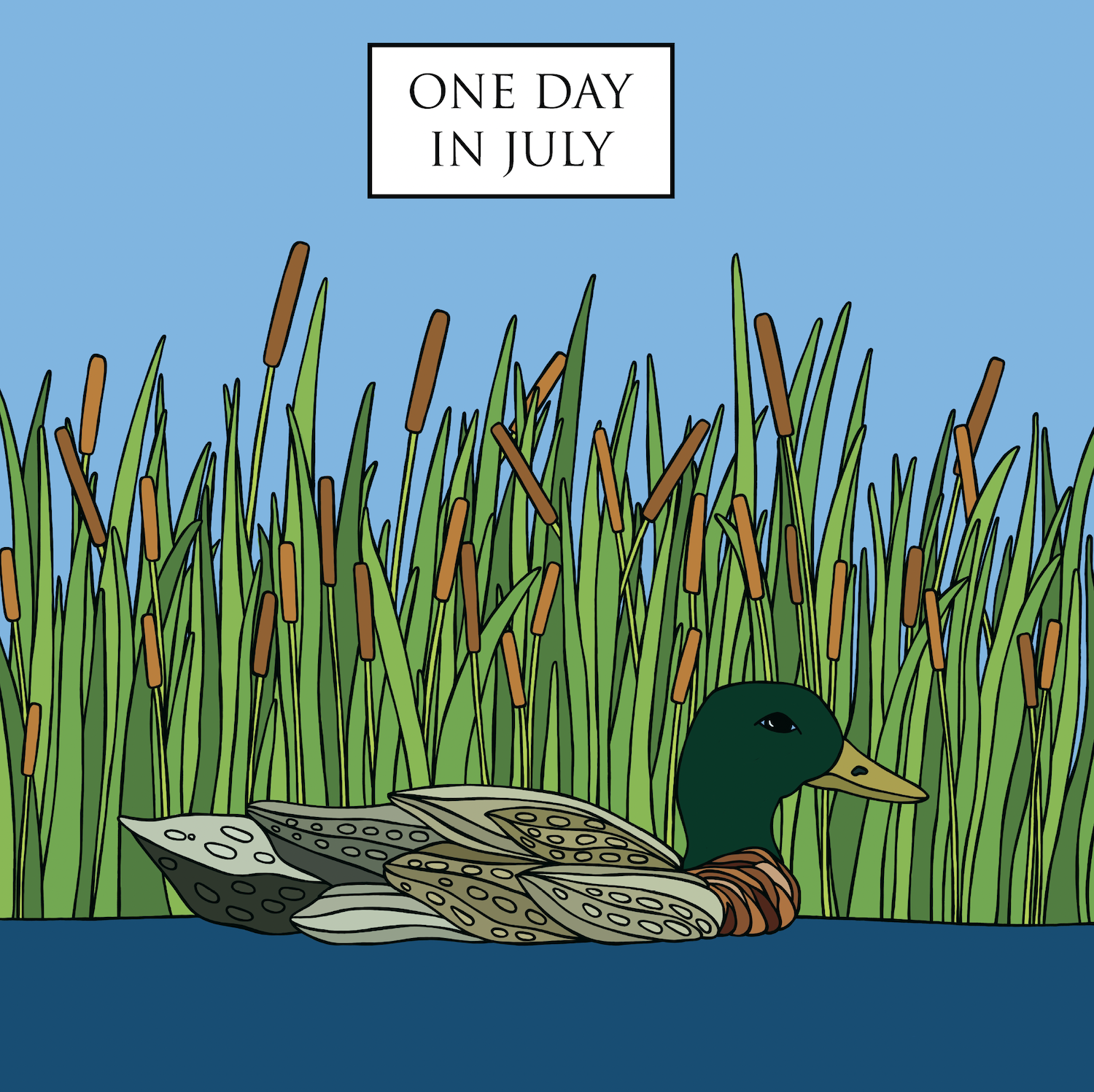 Mallard duck swimming in a river with cattails on the shore.