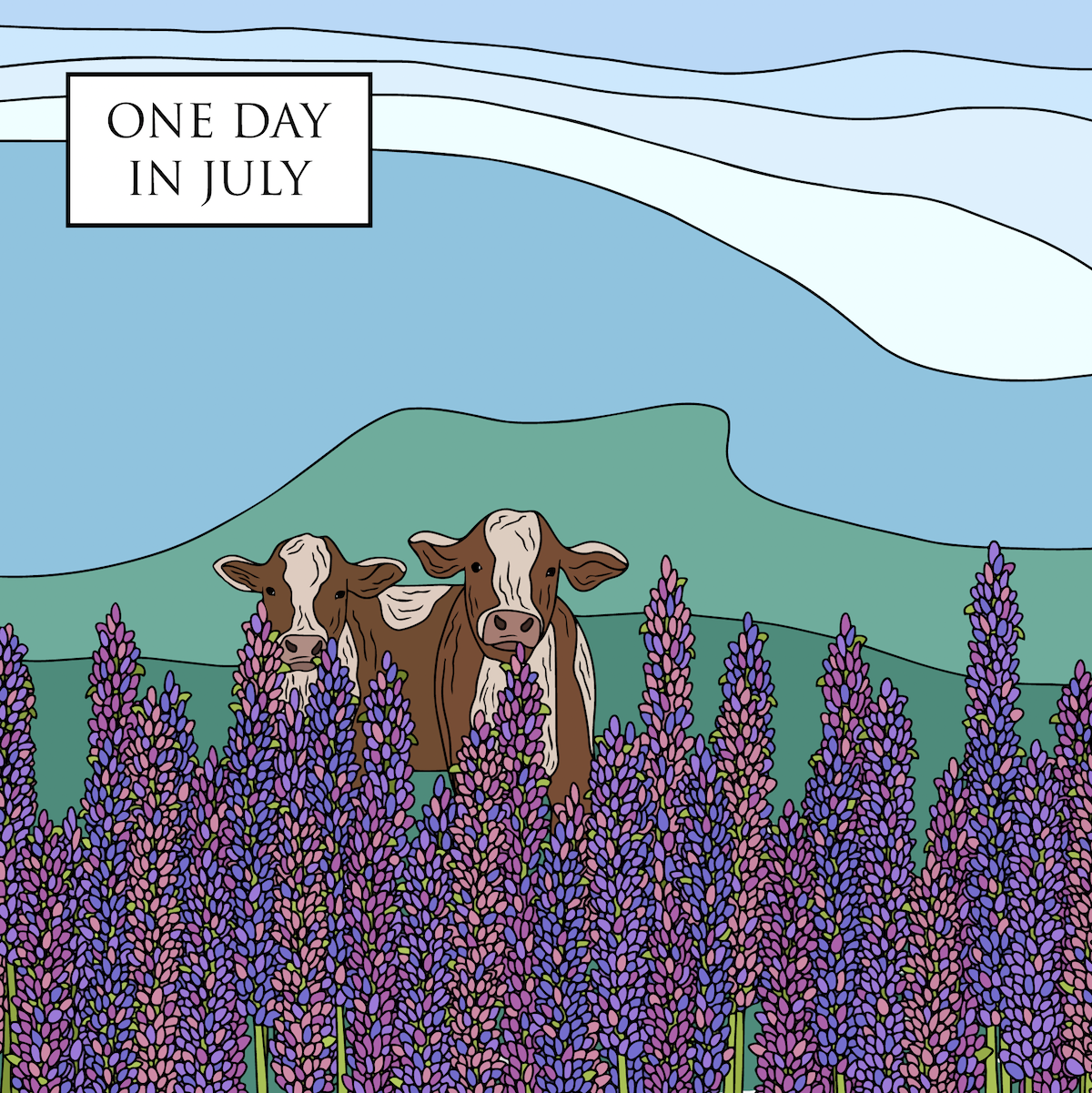 Drawing of cows in a field of heather flowers